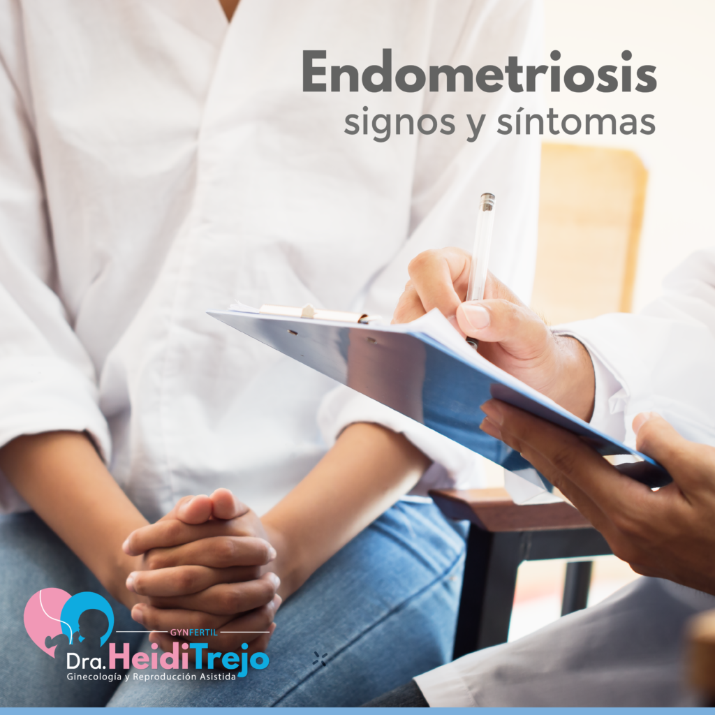 La Endometriosis Y Sus Síntomas Gynfertil 2834